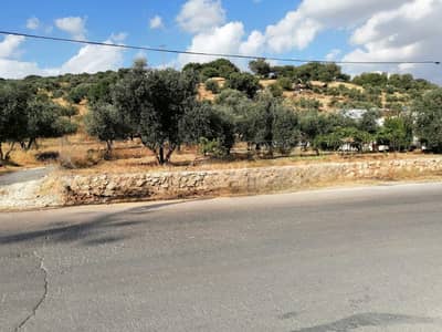 شاليه  للبيع في بدر الجديدة، عمان - أرض سكنية للبيع في بدر الجديدة، عمان