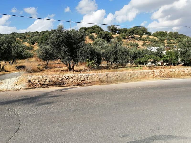 أرض سكنية للبيع في بدر الجديدة، عمان