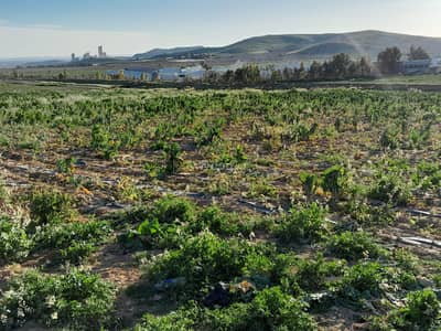 Chalet for Sale in Thughret El Jub, Mafraq - Residential Land For Sale in Thughret El Jub, Mafraq