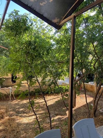 Chalet for Sale in Al Jubaiha, Amman - Residential Land For Sale in Al Jubaiha, Amman
