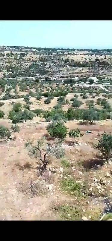شاليه  للبيع في أم جوزة، السلط - أرض سكنية للبيع في أم جوزة، السلط