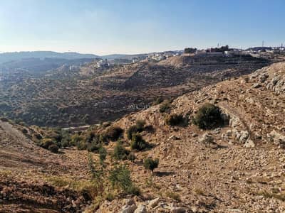 Chalet for Sale in Al Kursi, Amman - Residential Land For Sale in Al Kursi, Amman
