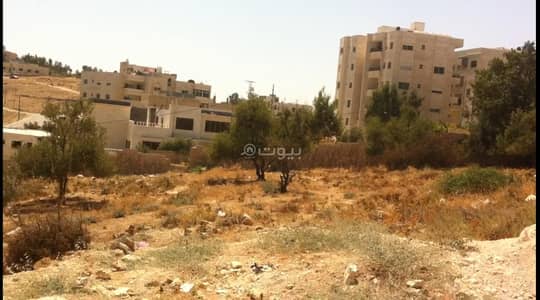 شاليه  للبيع في ابو السوس، عمان - أرض سكنية للبيع في أبو سووس، عمان