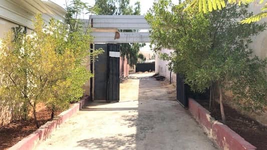 2 Bedroom Residential Building for Sale in Al Jufa, Al Ghor - 2 Bedrooms Chalet For Sale Al Jufa, Al Ghor