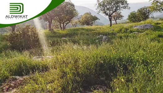 شاليه  للبيع في ناعور، عمان - أرض سكنية للبيع في ناعور، عمان