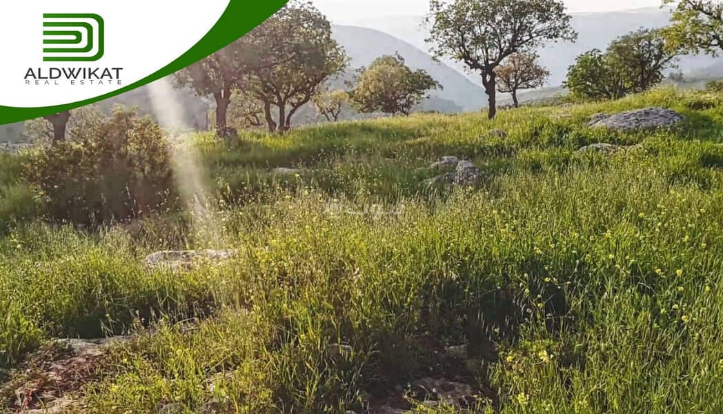 أرض سكنية للبيع في ناعور، عمان