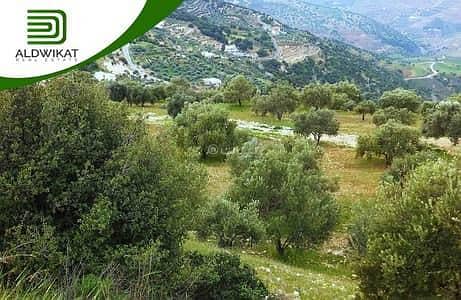 Residential Land For Sale in Safut, Al Salt