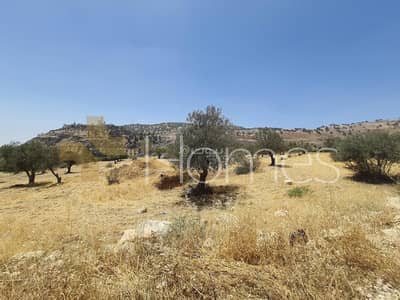 Chalet for Sale in Al Behat, Amman - Residential Land For Sale in Al Behat, Amman