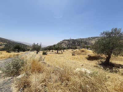 Chalet for Sale in Al Behat, Amman - Residential Land For Sale in Al Behat, Amman