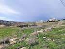 Chalet for Sale in Al Thahir, Amman - Residential Land For Sale in Al Thahir, Amman