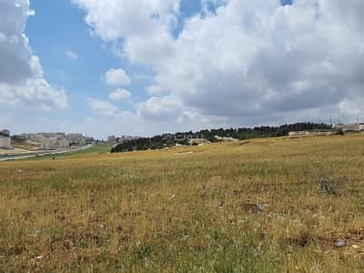 شاليه  للبيع في مرج الحمام، عمان - أرض سكنية للبيع في مرج الحمام، عمان