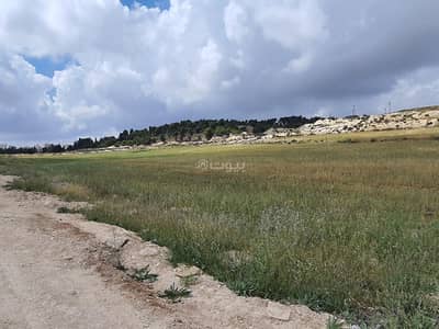 شاليه  للبيع في مرج الحمام، عمان - أرض سكنية للبيع في مرج الحمام، عمان