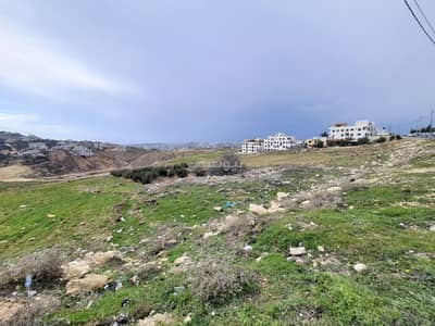 Chalet for Sale in Al Thahir, Amman - Residential Land For Sale in Al Thahir, Amman