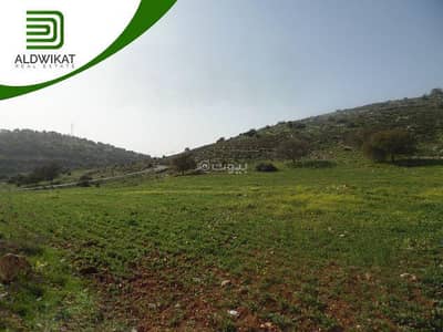 Chalet for Sale in Shafa Badran, Amman - Residential Land For Sale in Shafa Badran, Amman