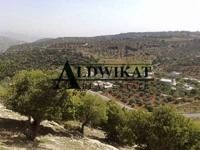 Chalet for Sale in Iraq Al Amir, Amman - Residential Land For Sale in Iraq Al Amir, Amman