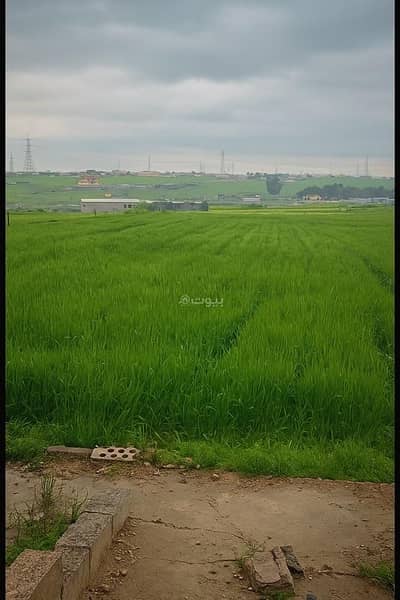 شاليه  للبيع في زويزا، عمان - أرض سكنية للبيع في زويزا، عمان