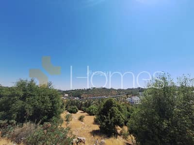 شاليه  للبيع في دابوق، عمان - أرض سكنية للبيع في دابوق، عمان