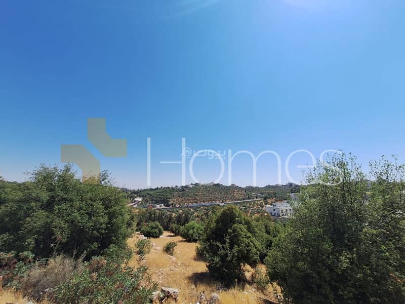 أرض سكنية للبيع في دابوق، عمان أرض سكنية للبيع في دابوق، عمان
