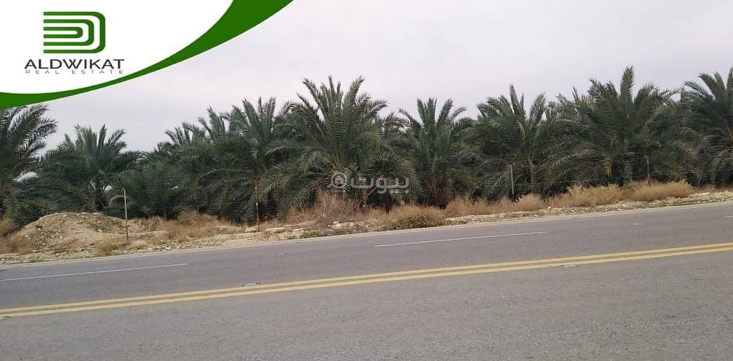 Residential Land For Sale in South Shuna, Al Ghor