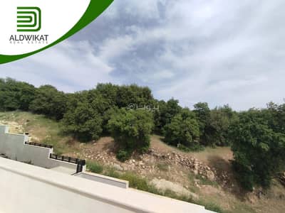 4 Bedroom Villa for Sale in Dabouq, Amman - 4 Bedrooms Villa For Sale in Dabouq, Amman
