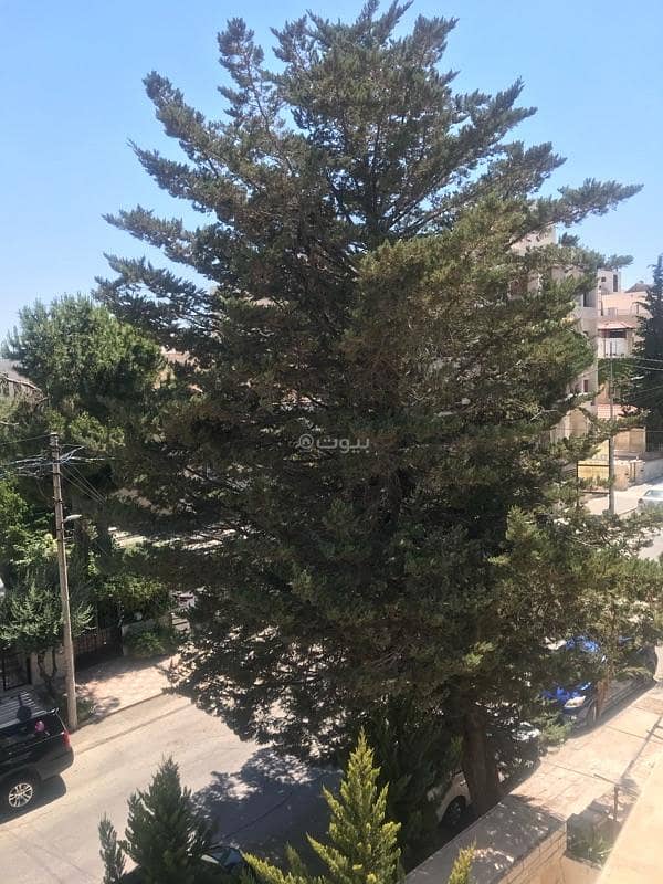 أرض سكنية للبيع في منطقة الأمير راشد، عمان