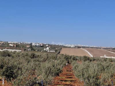شاليه  للبيع في مرج الحمام، عمان - أرض سكنية للبيع في مرج الحمام، عمان