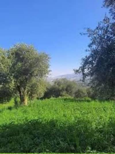 شاليه  للبيع في الصبيحي، السلط - أرض سكنية للبيع في الصبحي، السلط