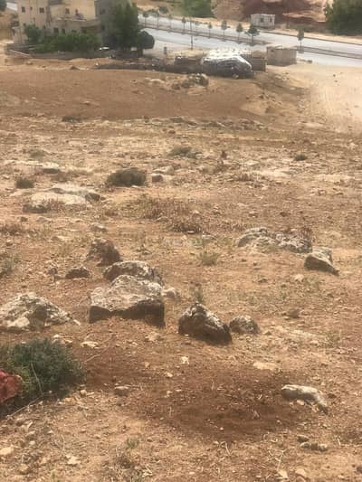 Chalet for Sale in Shafa Badran, Amman - Residential Land For Sale in Shafa Badran, Amman