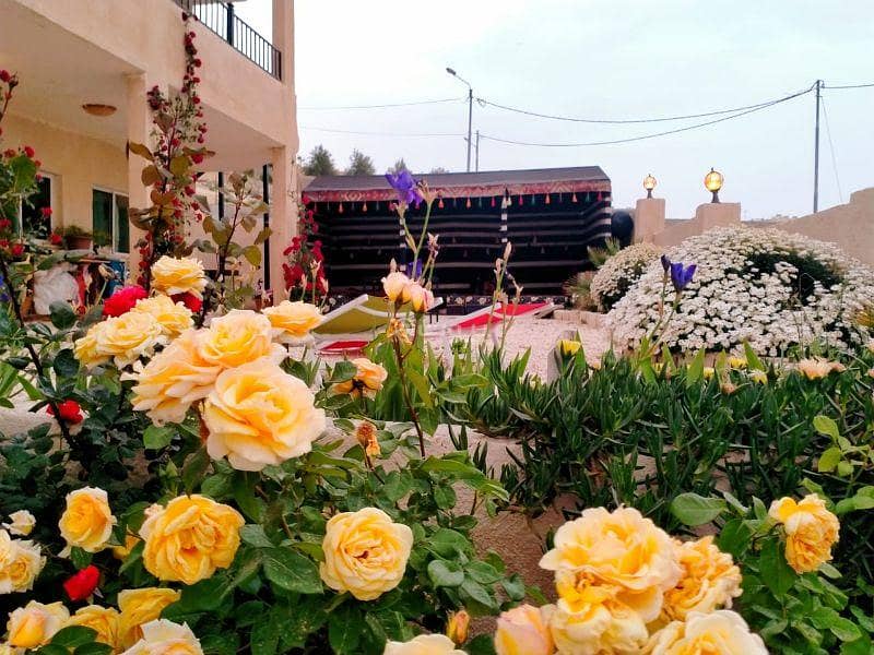 Other Commercial Property For Sale in Wadi Musa, Maan Other Commercial Property For Sale in Wadi Musa, Maan