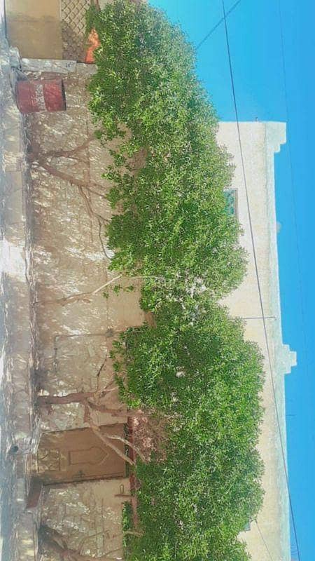 4 Bedrooms Apartment For Sale Al Hamra, Mafraq 4 Bedrooms Apartment For Sale Al Hamra, Mafraq