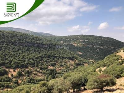 شاليه  للبيع في بدر الجديدة، عمان - أرض سكنية للبيع في بدر الجديد، عمان