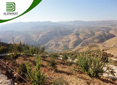 شاليه  للبيع في شفا بدران، عمان - أرض سكنية للبيع في شفا بدران، عمان