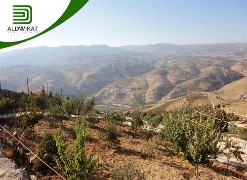 أرض سكنية للبيع في شفا بدران، عمان