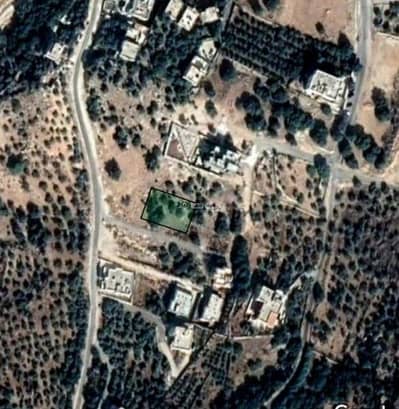 شاليه  للبيع في الحمر، عمان - أرض سكنية للبيع في الهمر ، عمان