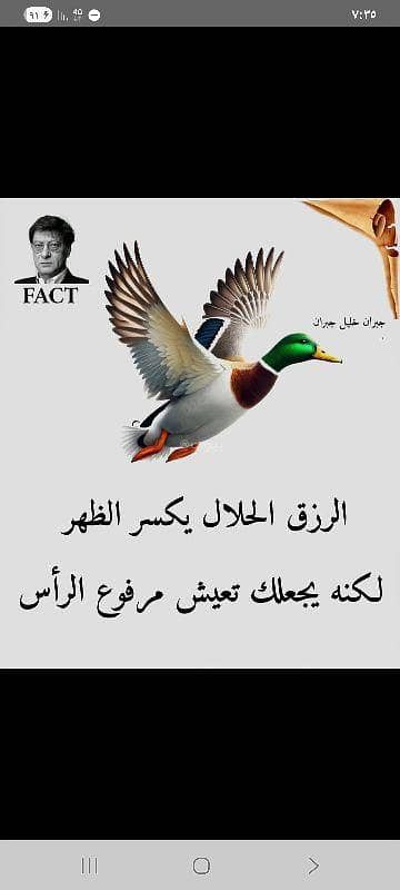 2 Bedroom Apartment for Rent in Dahyet Al Rasheed, Amman - 2 Bedrooms Apartment For Rent Dahyet Al Rasheed, Amman