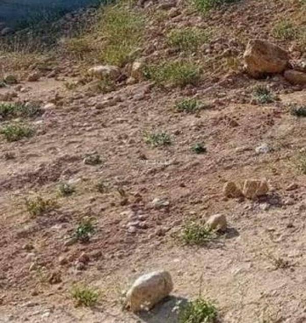 Residential Land For Sale in Al Russayfah, Zarqa Residential Land For Sale in Al Russayfah, Zarqa