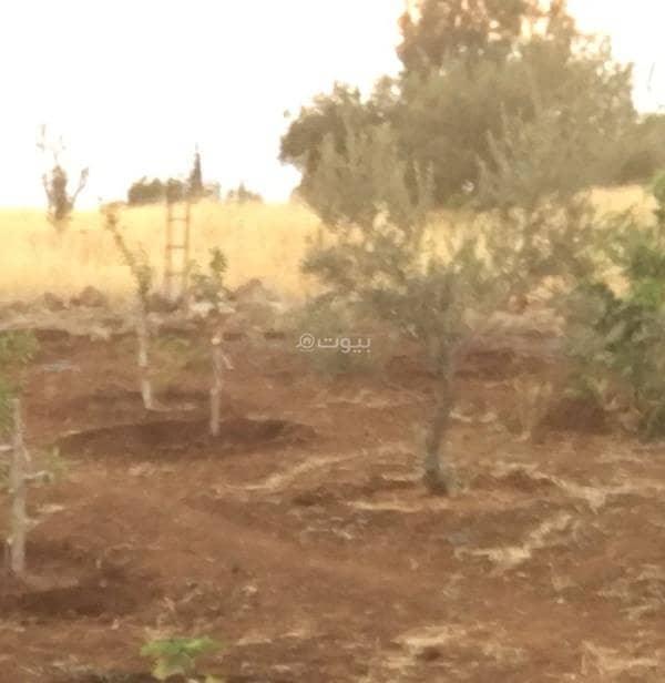 Residential Land For Sale in Khrebet Al Soq, Jawa and Yadodah, Amman