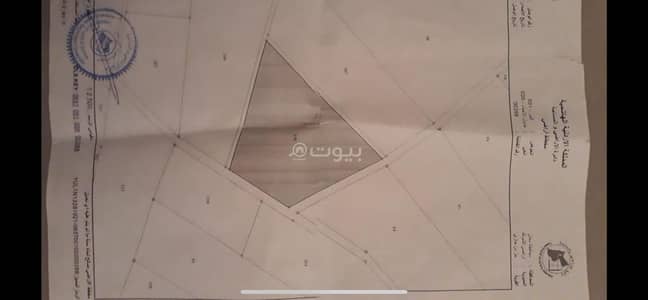 شاليه للبيع في الشوبك، معان - أرض سكنية للبيع في الشوبك، معان شاليه للبيع في الشوبك، معان - أرض سكنية للبيع في الشوبك، معان