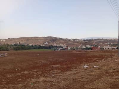 Chalet for Sale in Abu Nusair, Amman - Residential Land For Sale in Abu Nusair, Amman