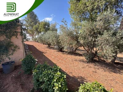 مجمع سكني 3 غرف نوم للبيع في ام العمد، عمان - شاليه مكون من 3 غرف نوم للبيع في أم العمد، عمان