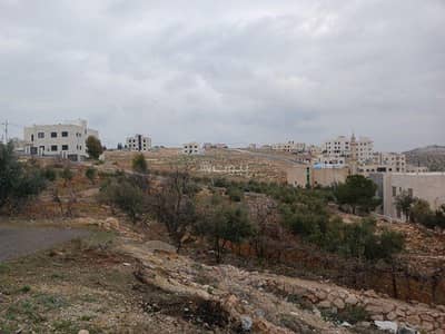 Chalet for Sale in Shafa Badran, Amman - Residential Land For Sale in Shafa Badran, Amman