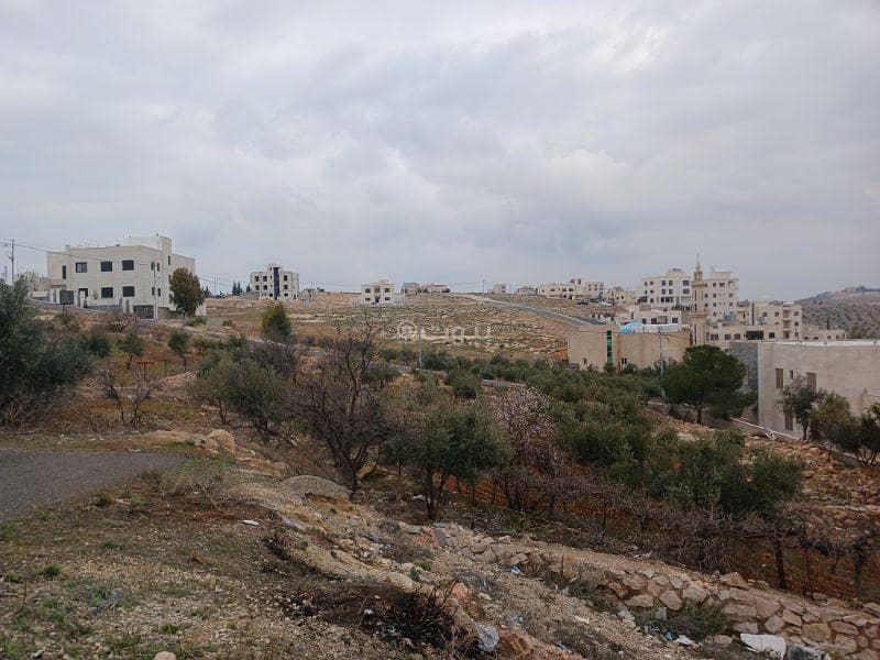 Residential Land For Sale in Shafa Badran, Amman