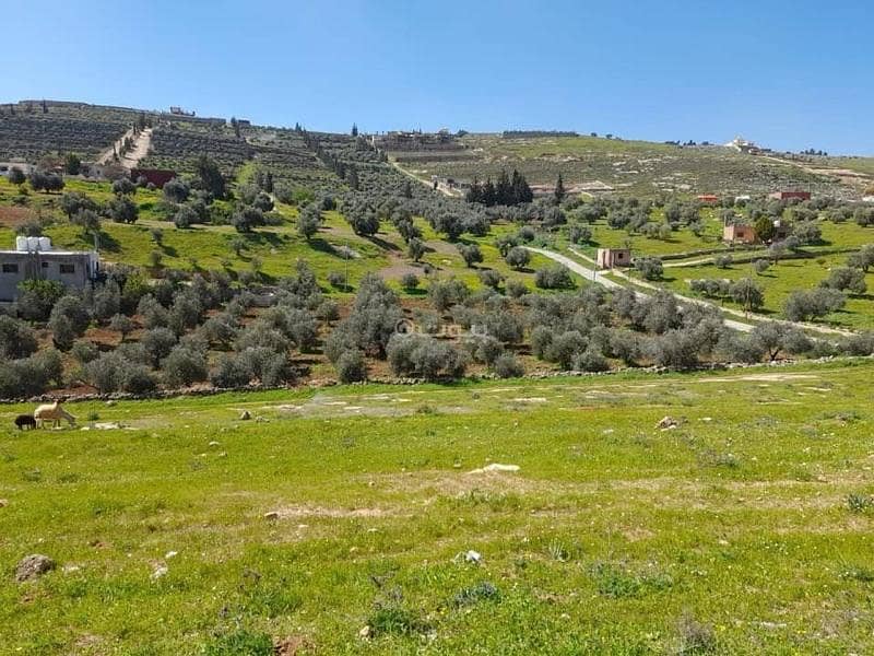 أرض سكنية للبيع في برما، جرش