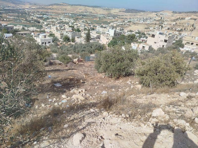 أرض سكنية للبيع في شارع الأردن، عمان أرض سكنية للبيع في شارع الأردن، عمان