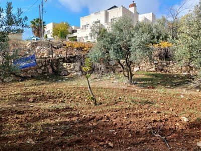 Chalet for Sale in Shafa Badran, Amman - Residential Land For Sale in Shafa Badran, Amman
