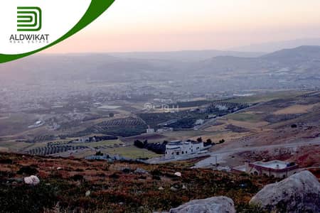 Chalet for Sale in Al Jubaiha, Amman - Residential Land For Sale in Al Jubaiha, Amman