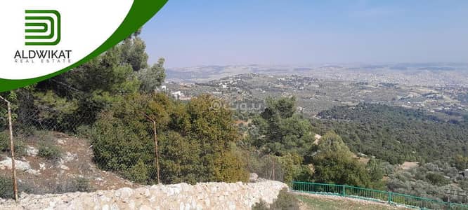 Chalet for Sale in Al Kitta, Jerash - Residential Land For Sale in Al Kitta, Jerash