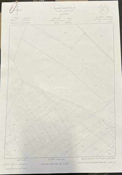 شاليه  للبيع في الهاشمية، الزرقاء - أرض سكنية للبيع في الهاشمية، الزرقاء