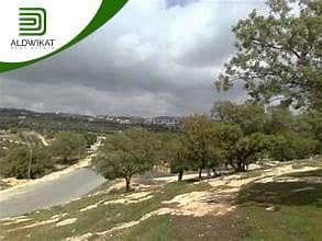 Chalet for Sale in Al Kamalyah, Amman - Residential Land for Sale in Al Kamalyah, Amman
