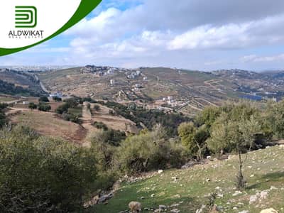 Chalet for Sale in Al Kamalyah, Amman - 0 Bedroom + Residential Land + For Sale + Al Kamalyah, Amman